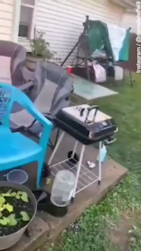 That was stupid!
